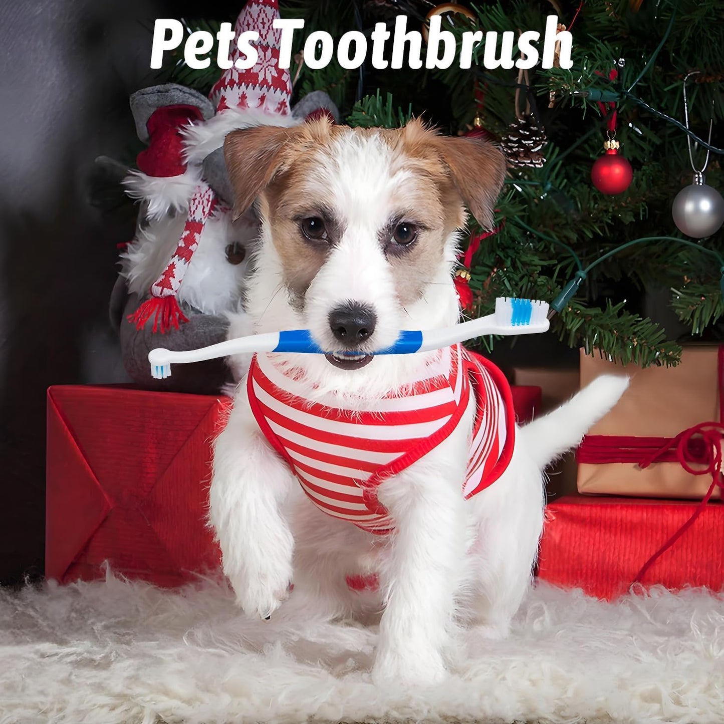 Double-Headed Pet Toothbrush with Soft Bristles | Pack of 6