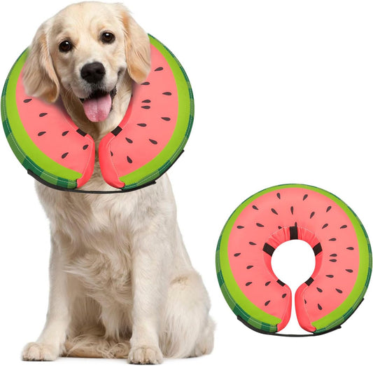 Inflatable Dog Collar Recovery Cone | Medium