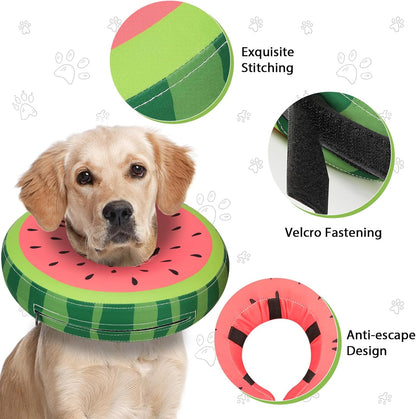 Inflatable Dog Collar Recovery Cone | Medium
