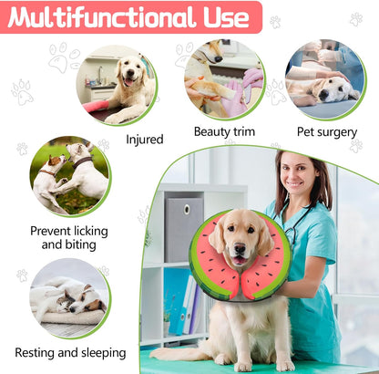 Inflatable Dog Collar Recovery Cone | Medium