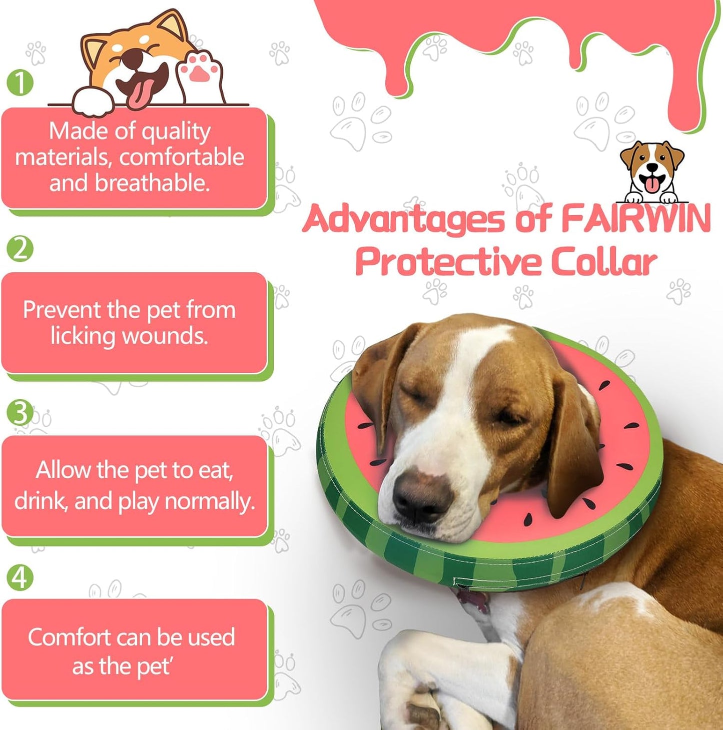 Inflatable Dog Collar Recovery Cone | Medium