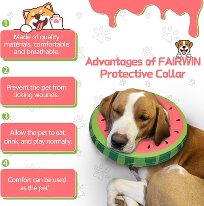 Inflatable Dog Collar Recovery Cone | Medium