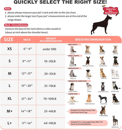 Inflatable Dog Collar Recovery Cone | Medium
