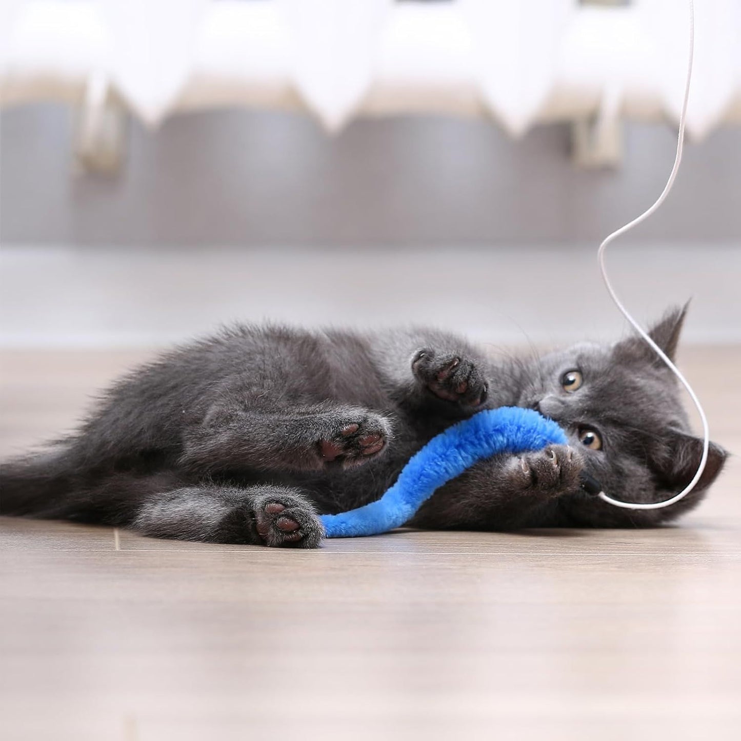 Cat Worm Toys 10-Pack | Colourful Interactive Wand Attachments