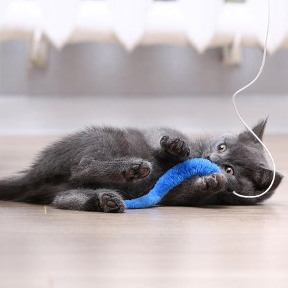 Cat Worm Toys 10-Pack | Colourful Interactive Wand Attachments
