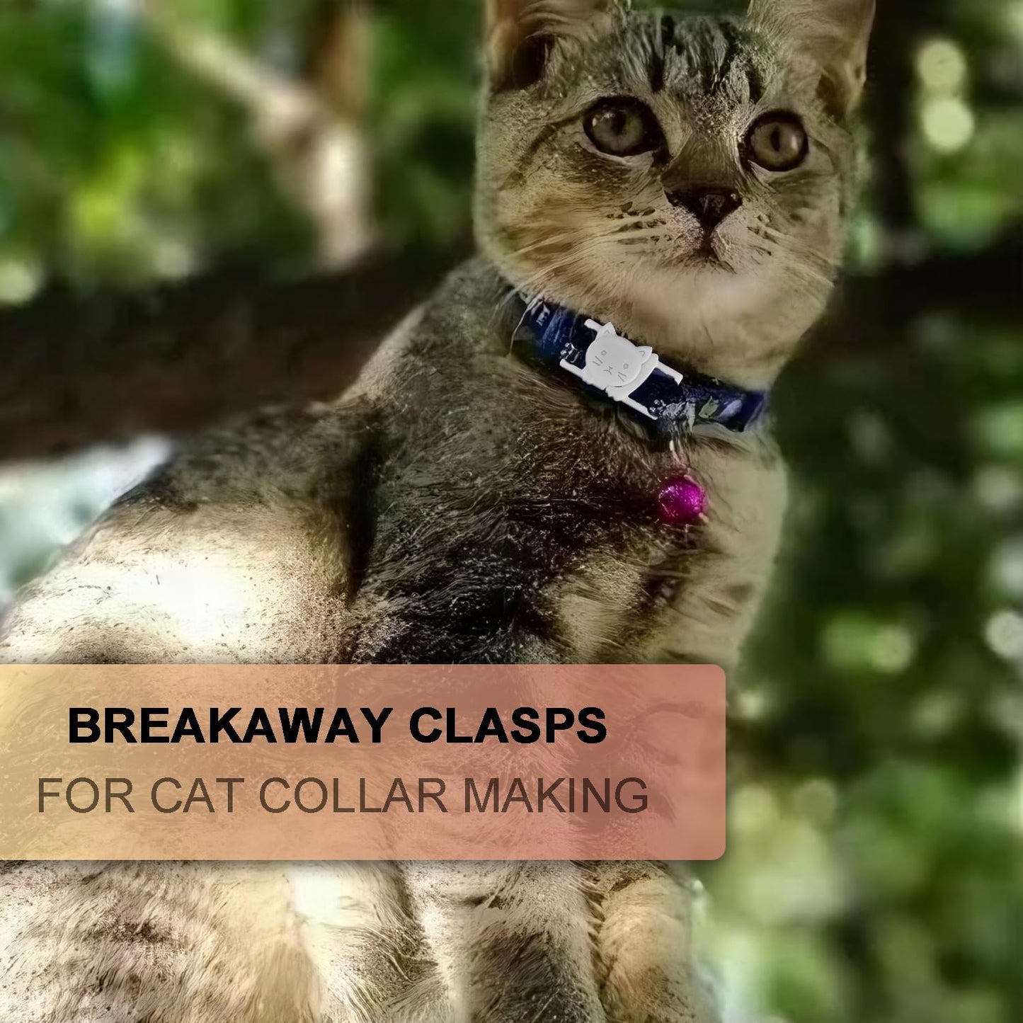 Cat Collar Breakaway Safety Clasp 25-Pack | White