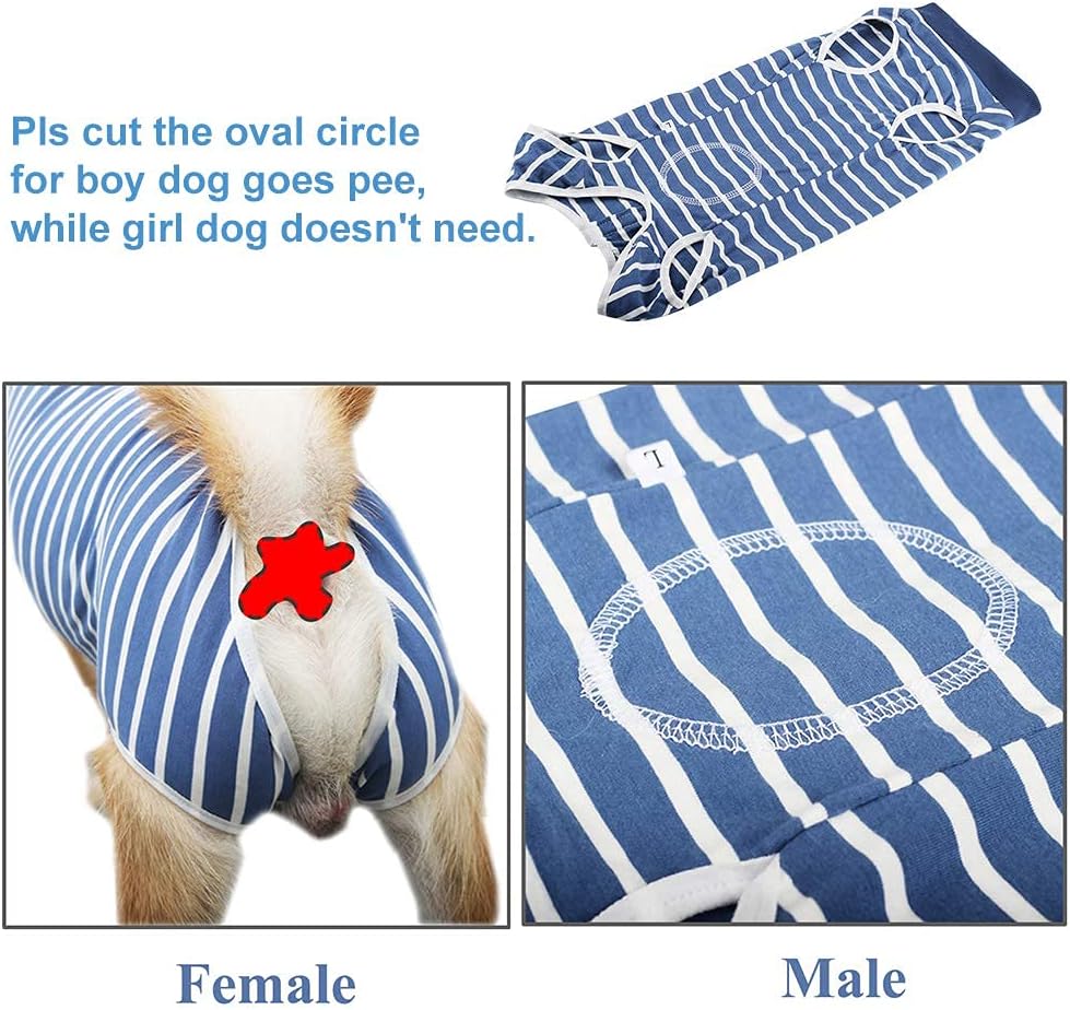 Dog Surgery Recovery Suit | Breathable Abdominal Wound Wear | S/M