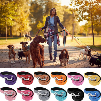 Reflective Dog Leash | Bulk 12 Pack | Padded Handle