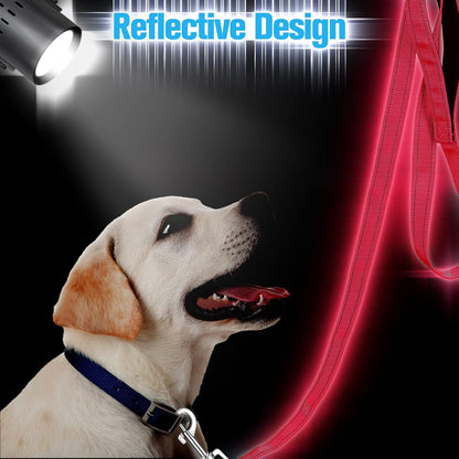 Reflective Dog Leash | Bulk 12 Pack | Padded Handle
