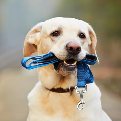 Reflective Dog Leash | Bulk 12 Pack | Padded Handle
