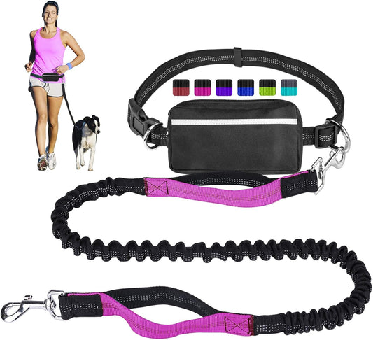 Hands-Free Bungee Dog Leash | Poop Bag Pouch
