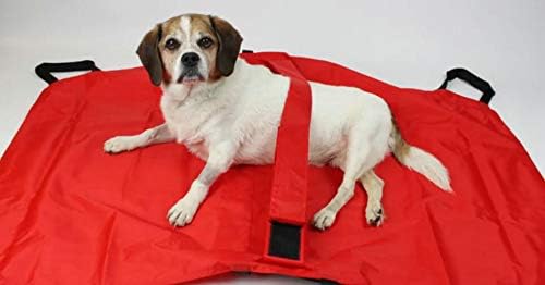 Dog Emergency Transport Stretcher | Safety Strap | 250lb Capacity