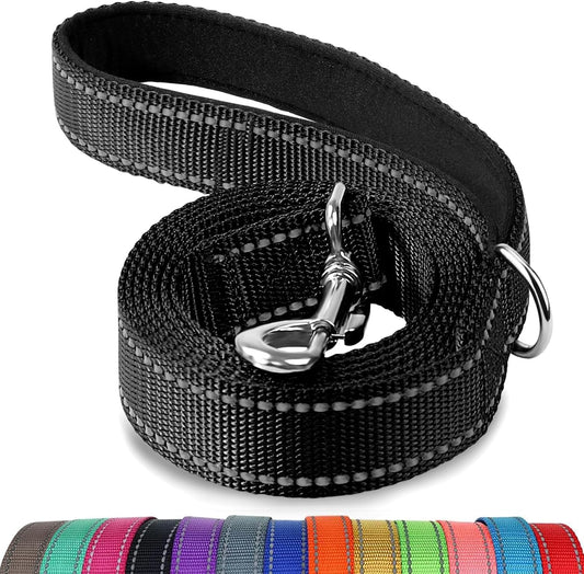 Reflective Dog Leash | 6FT Double-Sided Nylon | Padded Handle