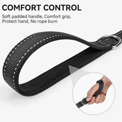 Reflective Dog Leash | 6FT Double-Sided Nylon | Padded Handle