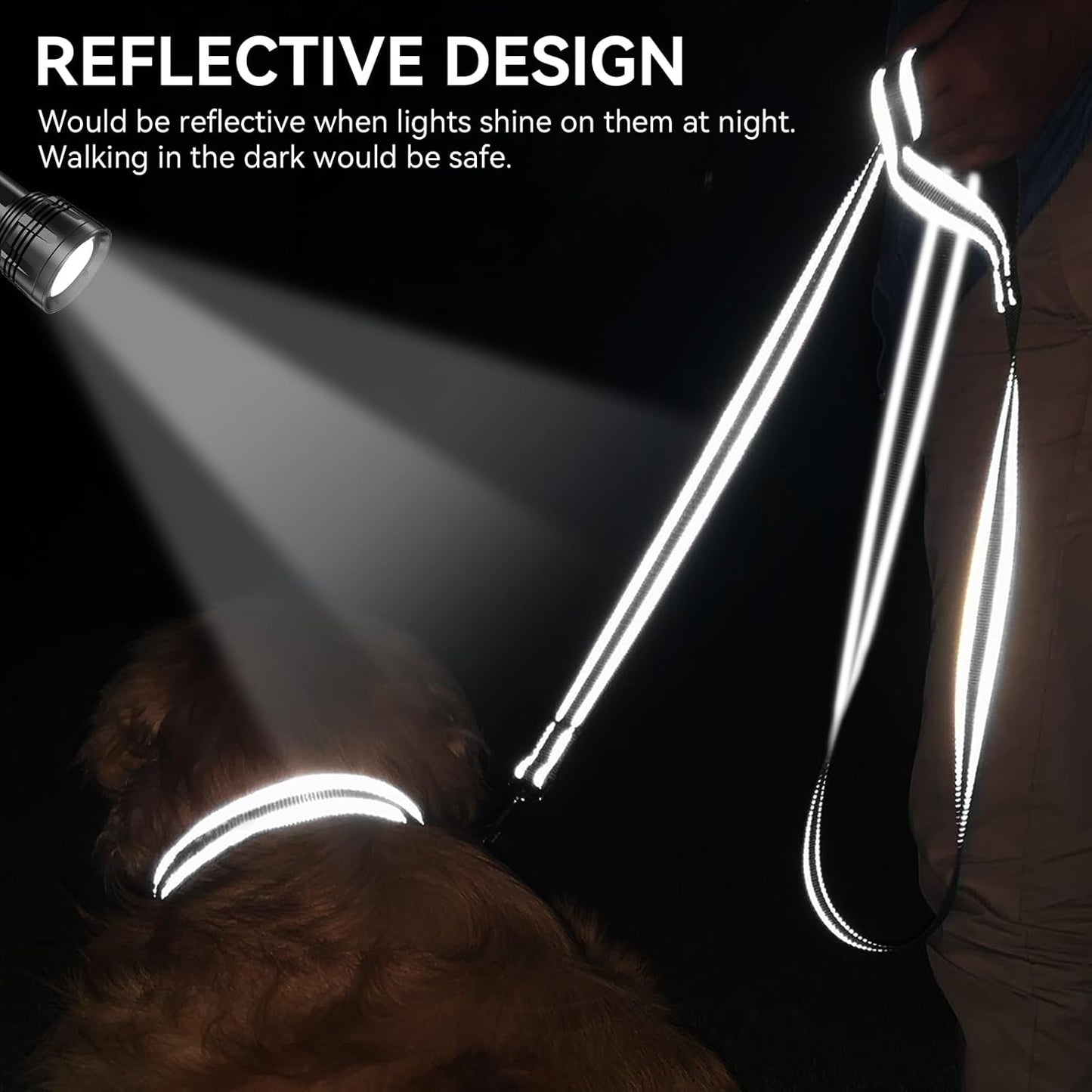 Reflective Dog Leash | 6FT Double-Sided Nylon | Padded Handle