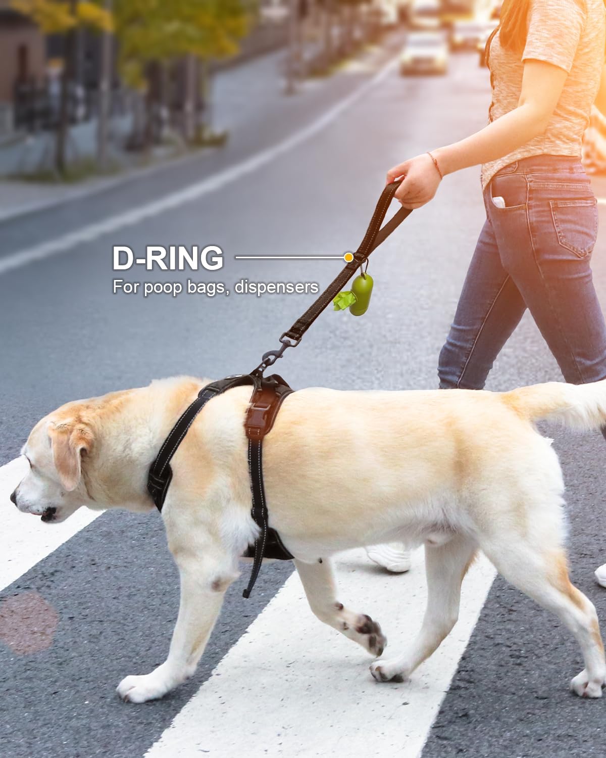 Short Traffic Control Dog Leash | 18 Inch | 1.2 Wide