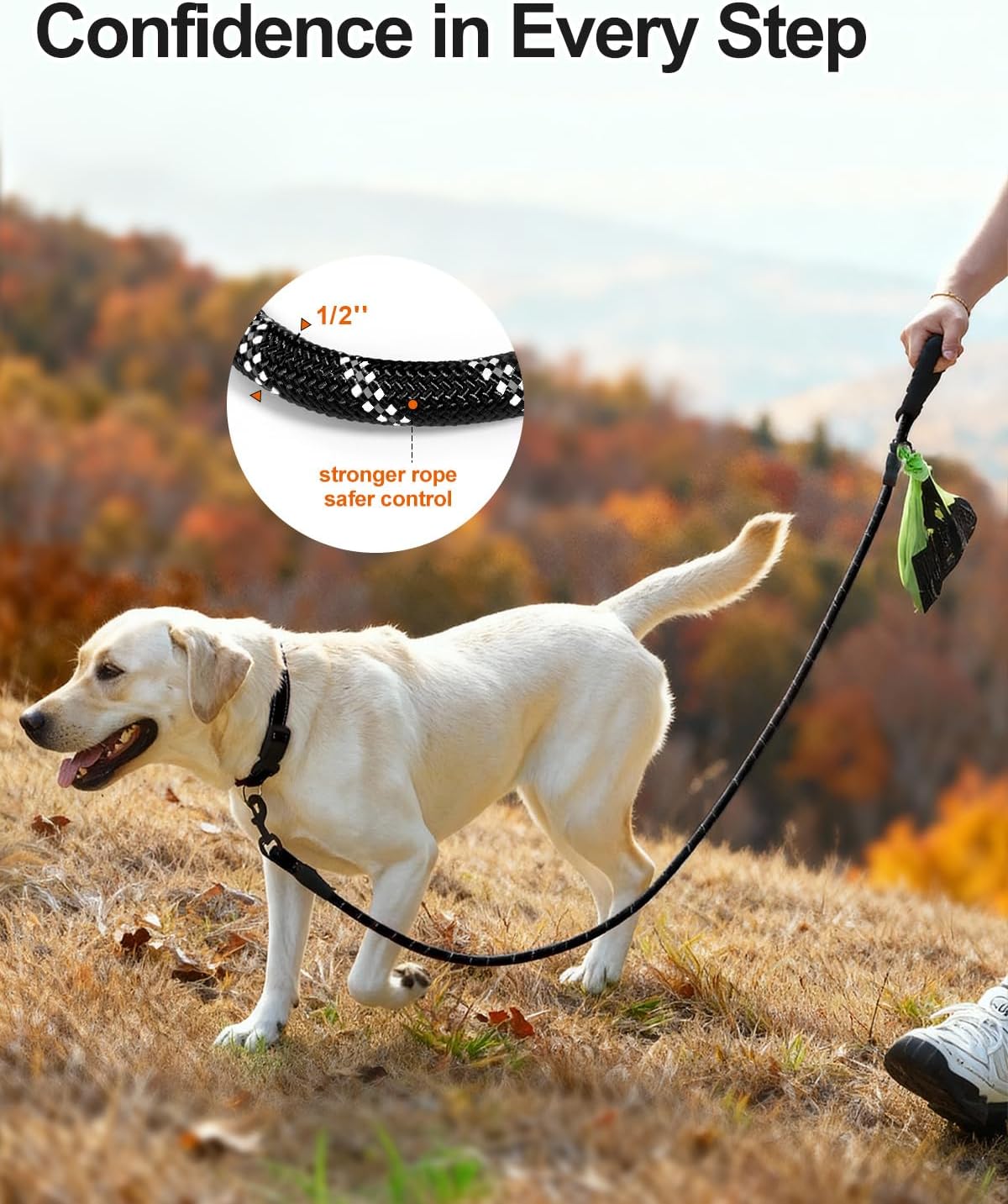 Reflective Dog Leash for Large Dogs | Padded Handle