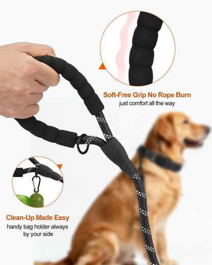 Reflective Dog Leash for Large Dogs | Padded Handle