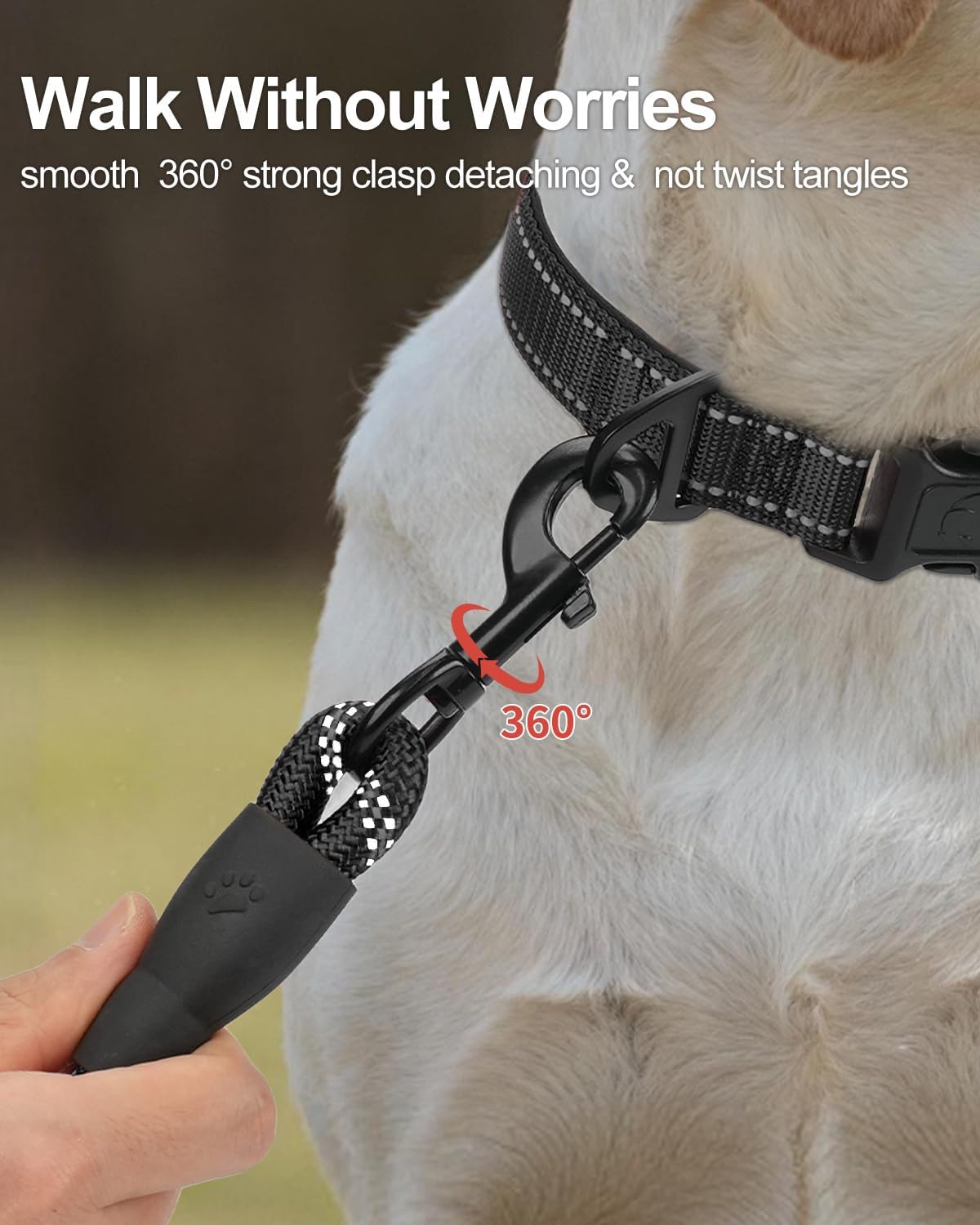 Reflective Dog Leash for Large Dogs | Padded Handle