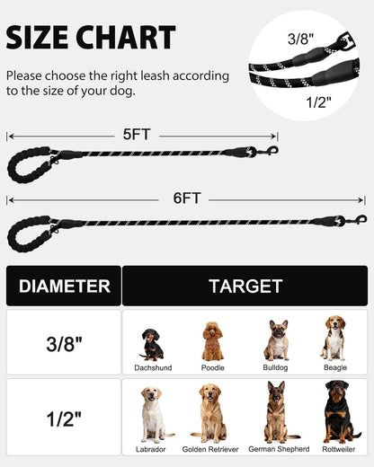 Reflective Dog Leash for Large Dogs | Padded Handle