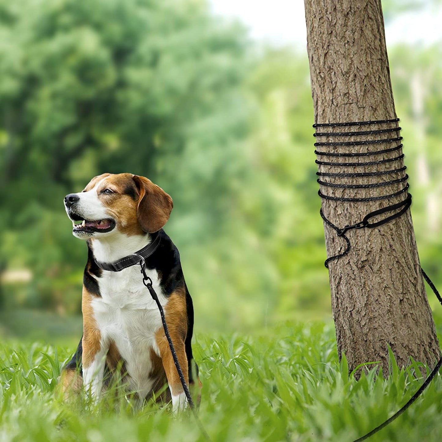 Long Dog Training Leash | 30FT Tie-Out Rope | Reflective