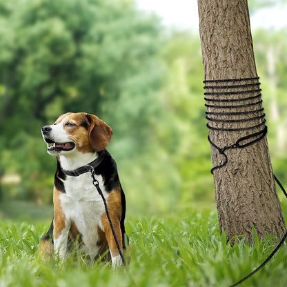 Long Dog Training Leash | 30FT Tie-Out Rope | Reflective