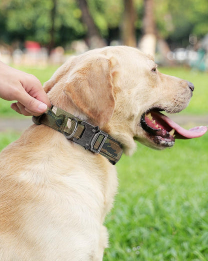 Tactical Dog Collar & Leash Set | Shock Absorbing Bungee | Camo