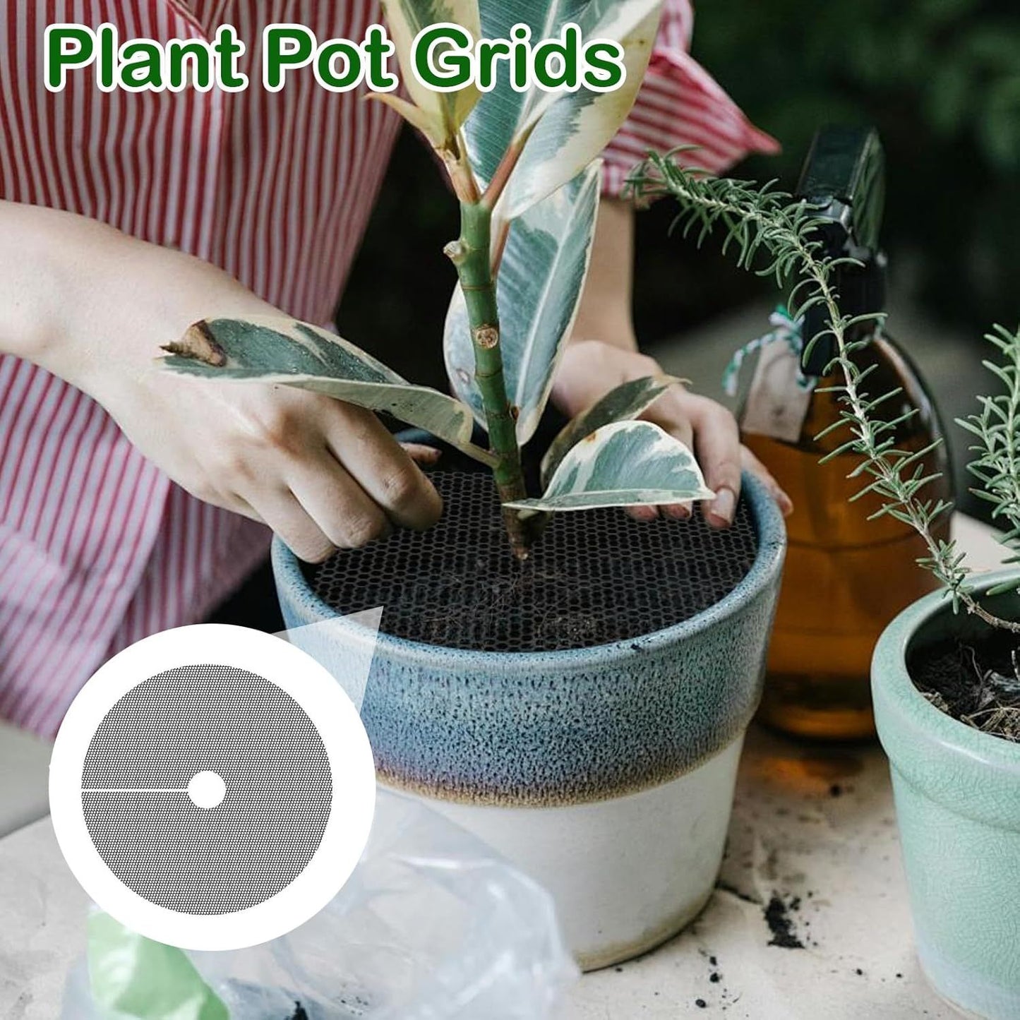 Cat-Proof Plant Pot Protective Cover Mesh 6-Pack | Soil Blocker | 30cm