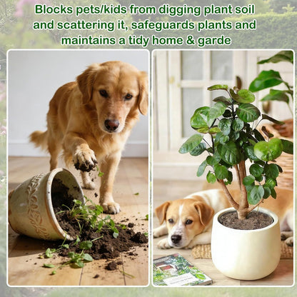Cat-Proof Plant Pot Protective Cover Mesh 6-Pack | Soil Blocker | 30cm