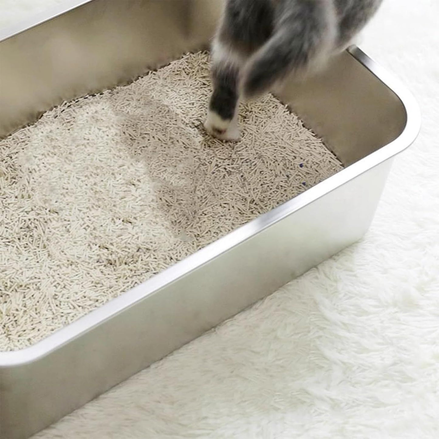 Stainless Steel Cat Litter Box 2-Pack | High Side | Rust Proof