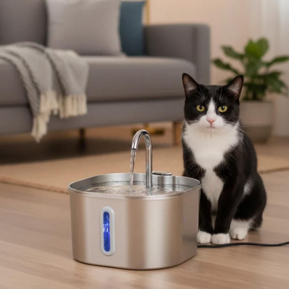 USB Stainless Steel Pet Water Fountain | 2.2L