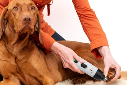 2-Speed Dog Nail Grinder