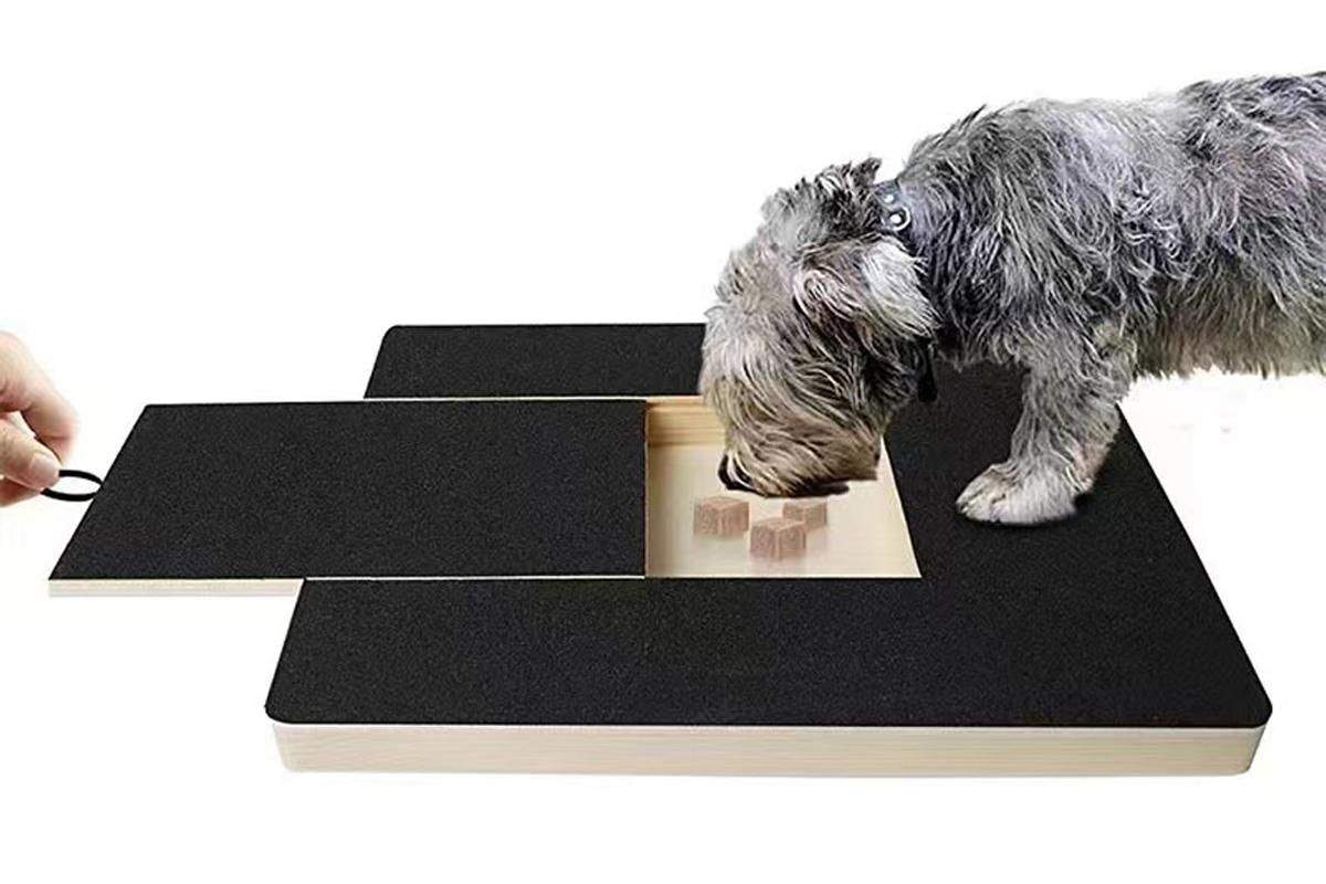 Dog Scratch Pad for Nails | Nail Scratching Board with Treat Box