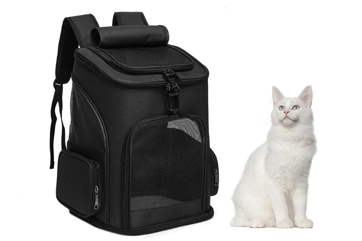 Expandable Cat Backpack Carrier | Ventilated Mesh & Bubble Window