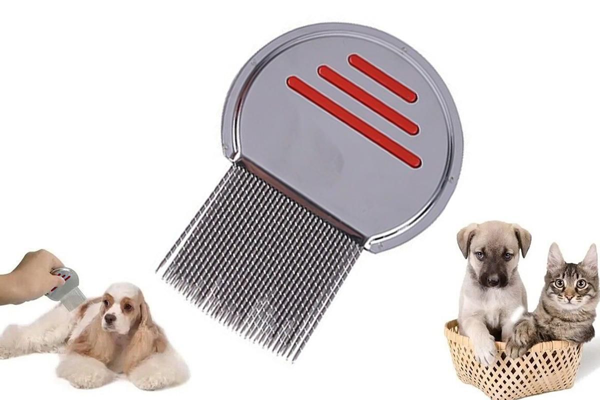 Stainless Steel Pet Flea Comb Fine Tooth Grooming Tool Red