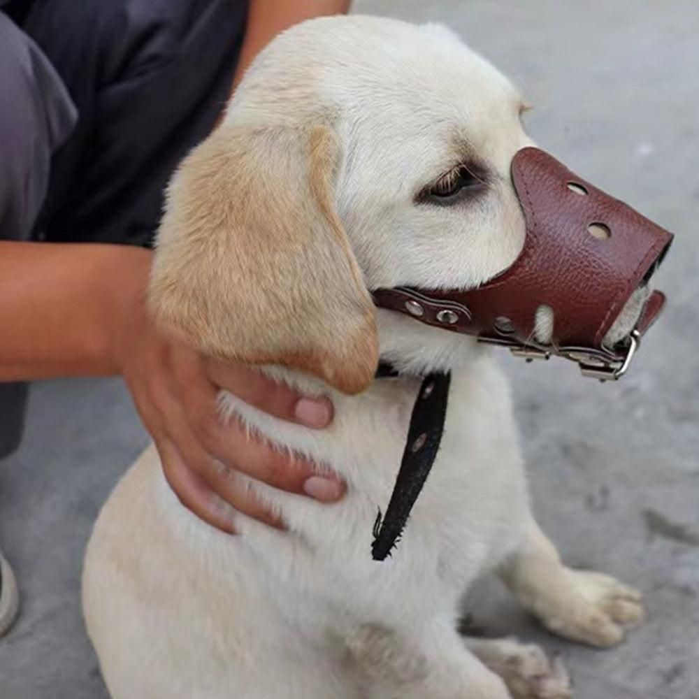 Adjustable PU Leather Dog Muzzle | Brown