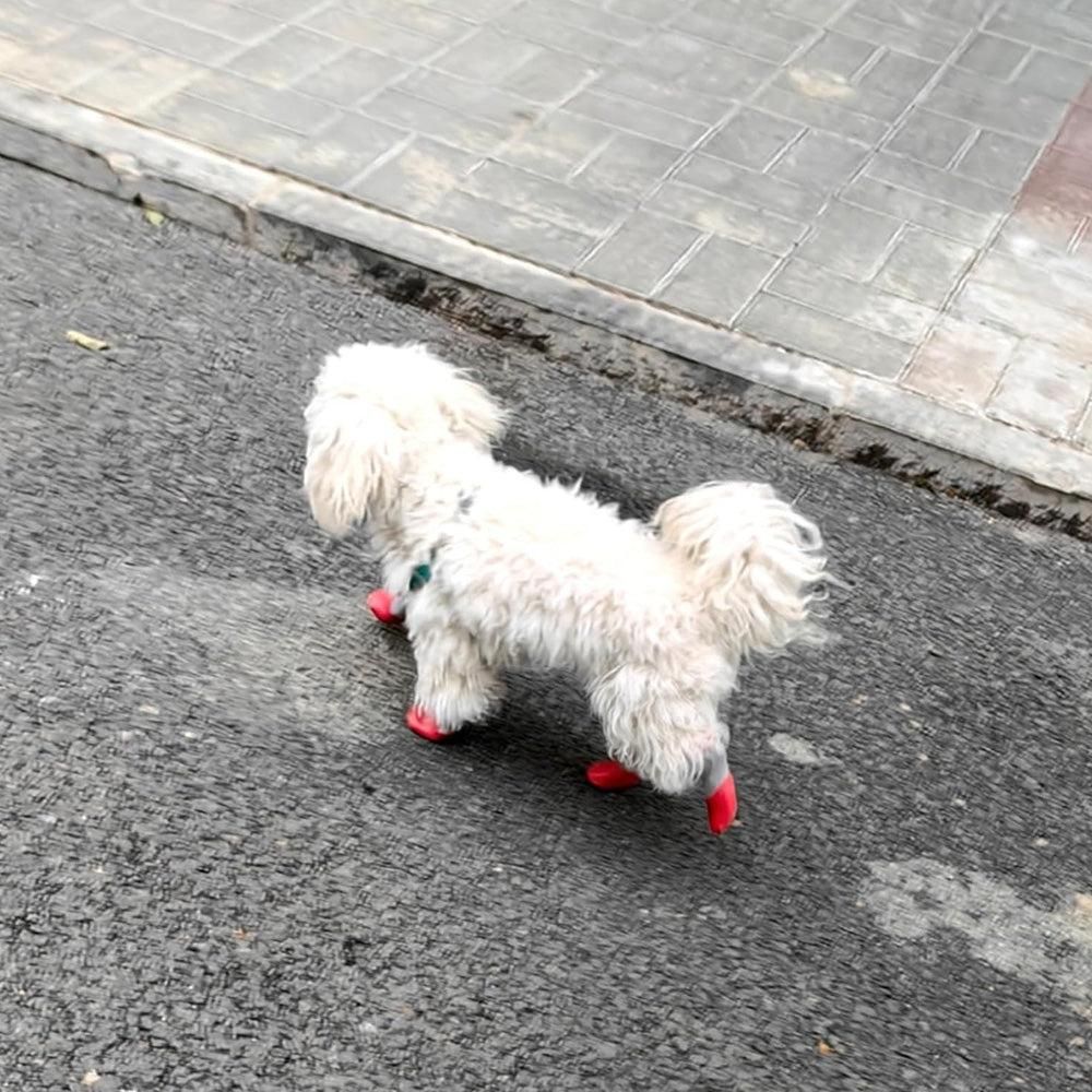 Waterproof Anti Slip Pet Shoes with Rubber Sole for Indoor and Outdoor | Red (2)