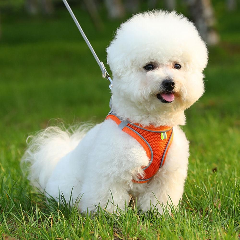 Cat Harness and Leash Set | Breathable Reflective Vest | Small