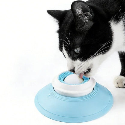 2PCS Non-Slip Slow Feeder Bowl for Dogs & Cats