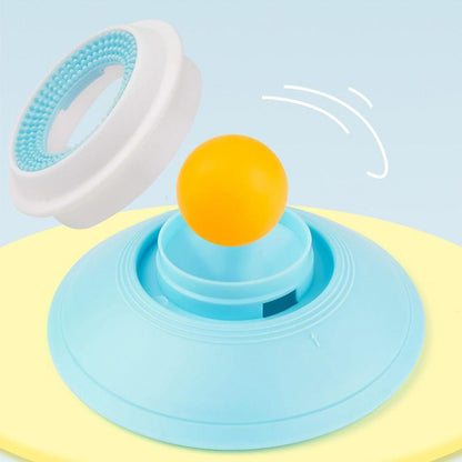 2PCS Non-Slip Slow Feeder Bowl for Dogs & Cats