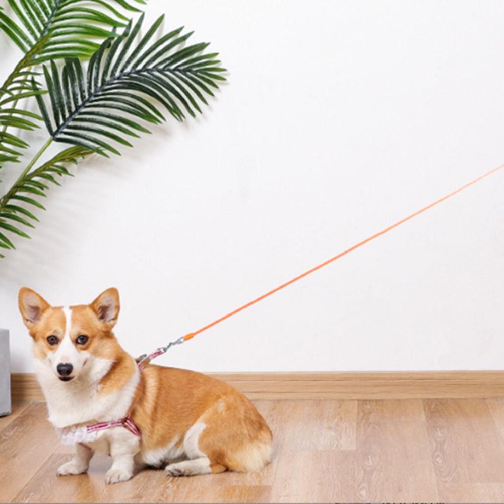 5M RGB Light Pet Leads Retractable Traction Rope Pet Cat Dog Leash