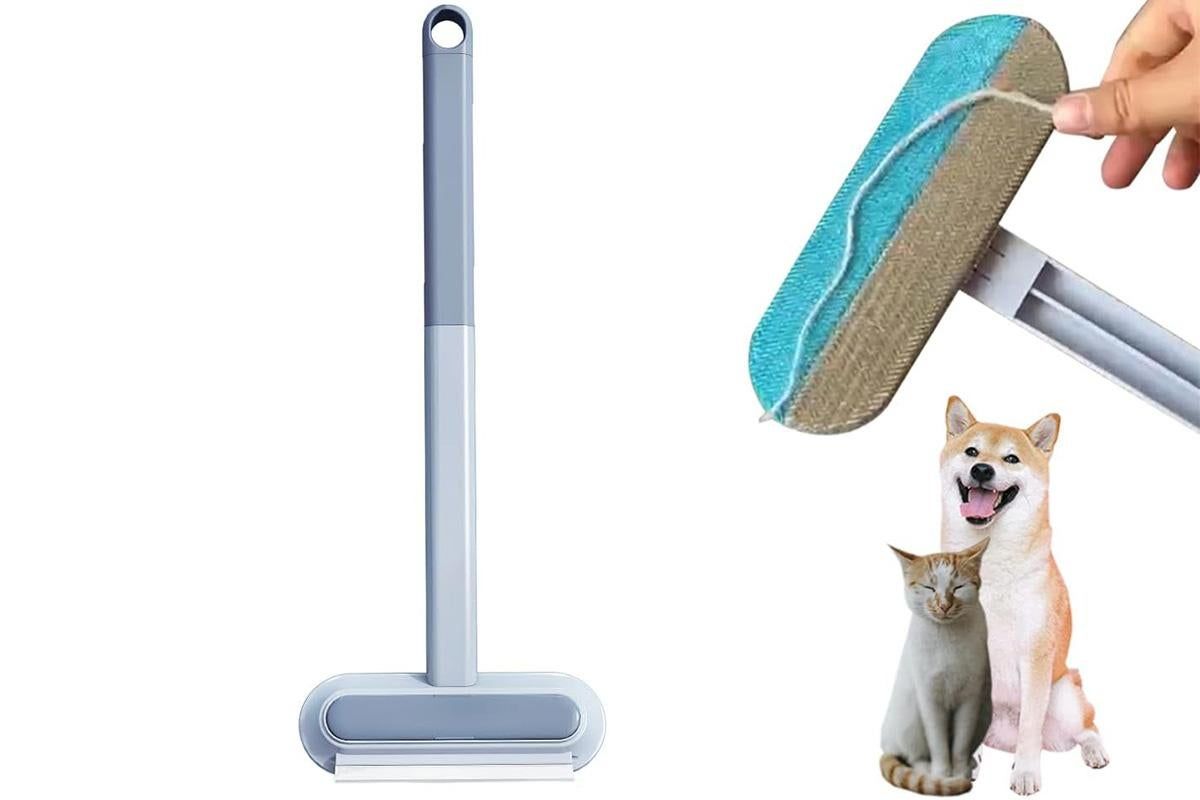 Pet Hair Remover Reusable Brush for Sofa Bed Carpet