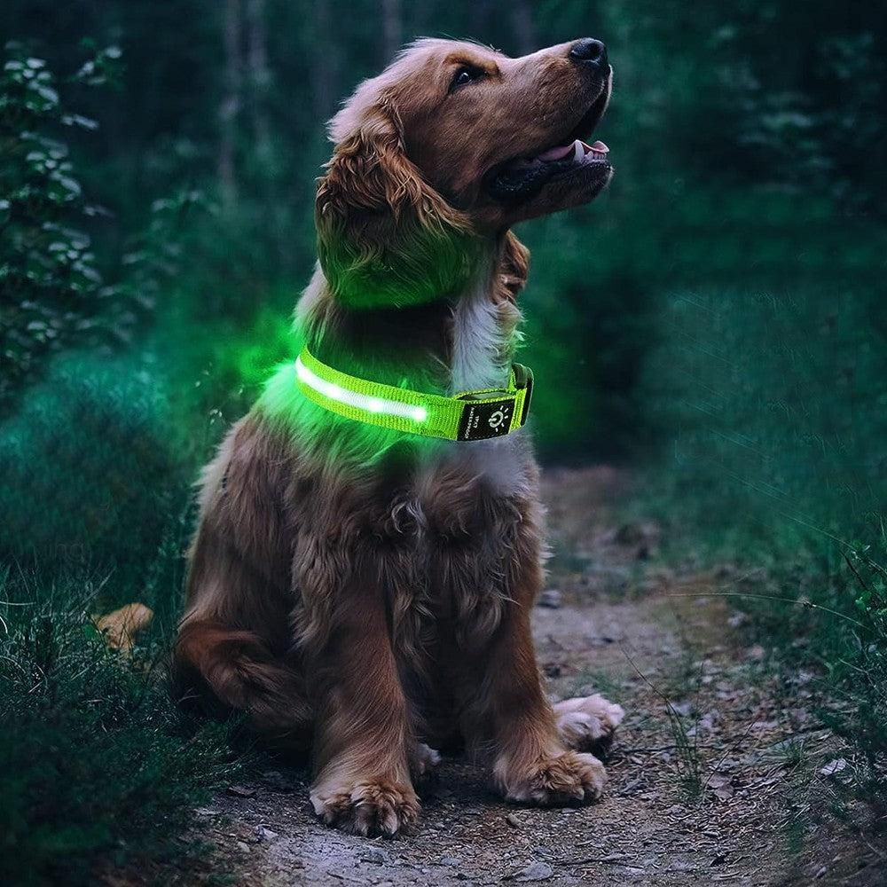 Luminous LED Pet Dog Collar Light-up USB Rechargeable Dog Collar Green (2)