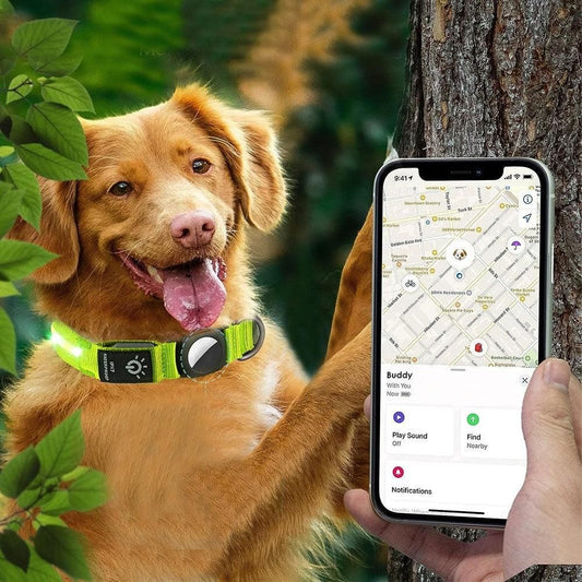Luminous LED Pet Dog Collar Light-up USB Rechargeable Dog Collar Green