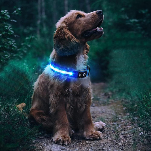 Luminous LED Pet Dog Collar Light-up USB Rechargeable Dog Collar Blue (3)