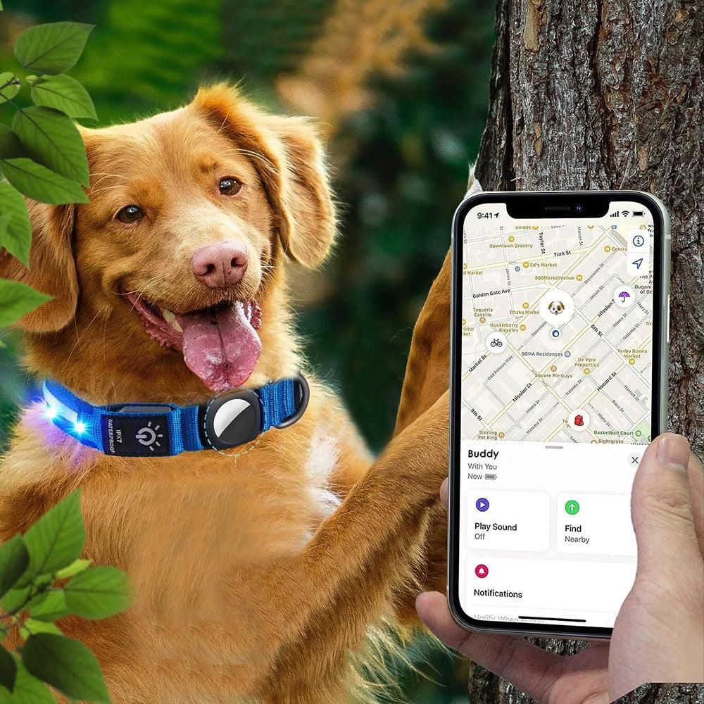 Luminous LED Pet Dog Collar Light-up USB Rechargeable Dog Collar Blue (2)