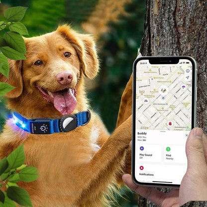 Luminous LED Pet Dog Collar Light-up USB Rechargeable Dog Collar Blue (2)