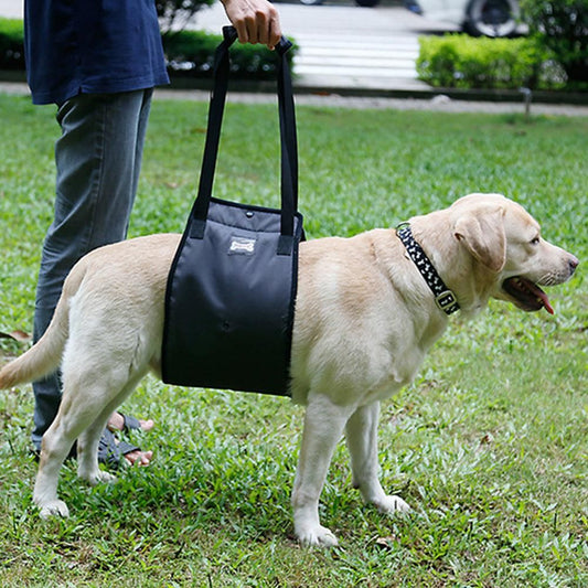 Pet Dog Support Harness Walking Vest Dog Sling Support Sling Gray - M