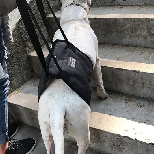 Pet Dog Support Harness Walking Vest Dog Sling Support Sling Gray - L