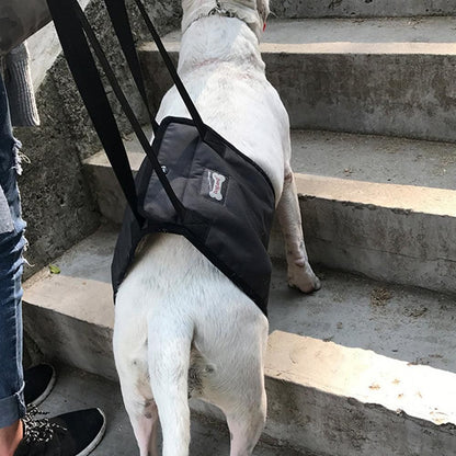 Pet Dog Support Harness Walking Vest Dog Sling Support Sling Gray - L
